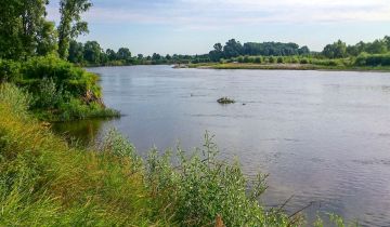 Річка Десна